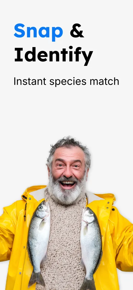 Fish Identifier AI: FishSnap screenshot 1